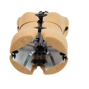 Wholesale Premium Adjustable Tailors <strong>Dummy</strong> ABS <strong>Plastic</strong> Dress Form Multiple Sizes for Fashion Design Students Tailors <strong>Dummy</strong> - Product Image 3