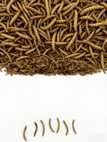 Vers de farine séchés 100% naturels, nourriture pour oiseaux, poissons, tortues