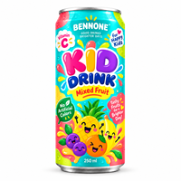 Kinderdrank Sparkling Fruit Juice, laag in suiker, natuurlijk fruitsap, kinderdrank, OEM Private Label voor kinderen