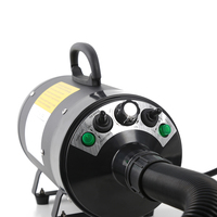 Tondeuse électrique personnalisée 2400W avec lames, souffleur pour chien, en fer noir et plastique, réglage de l'air et de la température, écologique, 6 heures d'autonomie