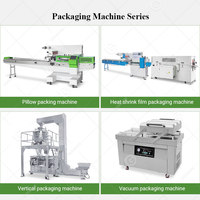 Automatische fruit-ijsjes-kussencompressor-wikkel-platbrood-lepel-toast-verpakkingsmachine voor snacks
