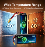 Baterai Li-ion Semi-solid 6S 5C Continuous Discharge 22Ah 500 Siklus Tahan Suhu Rendah untuk Inspeksi Pertanian