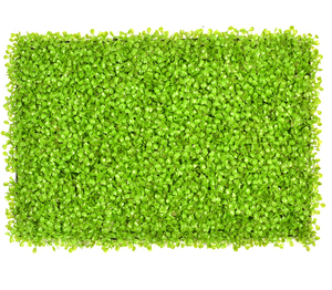 <span class=keywords><strong>Precio</strong></span> de fábrica, hierba de Milán Artificial de plástico, 40*60CM, Panel de planta verde, telón de fondo, pared de hierba para exhibición, decoración del hogar - Product Image 3