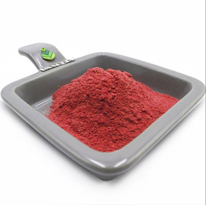 Polvo de Carmín de Cochinilla de Alta Pureza E120 Colorante Rojo Natural para Alimentos <span class=keywords><strong>y</strong></span> Cosméticos - Product Image 1