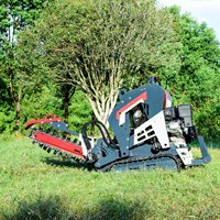 OEM/ODM 2023 Le plus récent modèle conçu 20hp support de moteur à essence sur les trancheuses pour la ferme