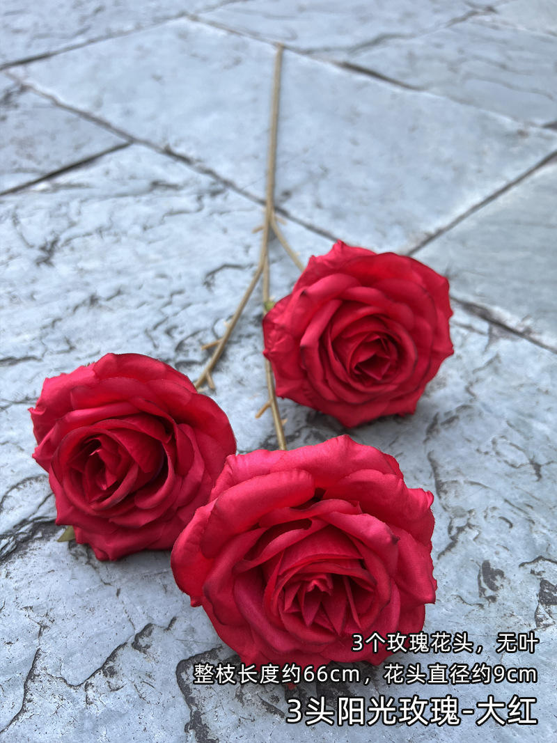 3 tête soleil rose rouge (vidéo)