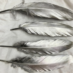 Venta barata 14-20 cm Patrón teñido en aerosol de plumas de ganso doradas y plateadas para decoración de sombreros de plumas DIY - Product Image 1