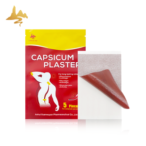 新製品ピュアハーバルジンジャー大人用ヒートカプサイシン鎮痛パッチ接着剤ホットカプサイカムプラスターヘルスケア用品 - Product Image 2