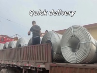 Conductor Aéreo de Aluminio de Alta Tensión Wolf AAC ACSR AAAC 120-630mm 35kV-750kV IEC 61089 GB/T Precio de Fábrica |   Personalizado
