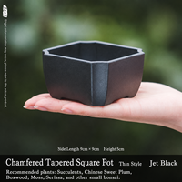 Maceta para Suculentas, Cuadrada, de Plástico, con Base Cónica, para Jardinería, Hogar, Ventana, Escritorio, Precio Especial, Liquidación, Envío Gratis
