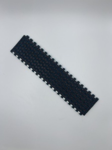 Điều kiện mới nhựa lưới băng tải các nhà sản xuất giá - Product Image 2