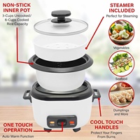 Cuiseur à riz électrique automatique 1L en acier inoxydable avec revêtement antiadhésif et cuiseur vapeur en aluminium, appareil ménager inclus