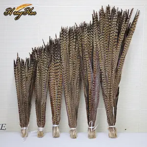 Wholesale Bulk 25-30cm Dyed Ringneck Pheasant Feather For Dance Stage Carnival Pheasant Feather Tail Costumes Decoration