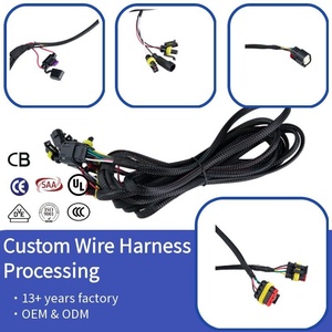 BEST Private Label Originele Auto Autoconnector 20231214 Zekeringkast Tyco Connector 2-pins Ontstekingskabelboom - Product Image 1
