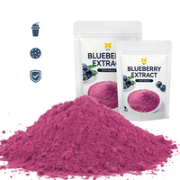 Bubuk Ekstrak Blueberry Massal Pabrik, Antosianin 5% hingga 25%, Grade Makanan, Drum 25kg, Pasokan Stabil untuk Produsen Suplemen