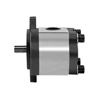 Pompe hydraulique à engrenages micro haute pression JinDing Chinagear Type 25MPa CBN 0,5 CV Connexion 3/8 pour chargeuse-grue robuste