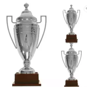 Manufacturer Custom Wholesale OEM Metal Sports Award Gold Cup Trophies