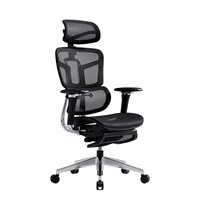 Chaise de bureau ergonomique en maille, pivotante et réglable, avec appui-tête et soutien lombaire pour le bureau