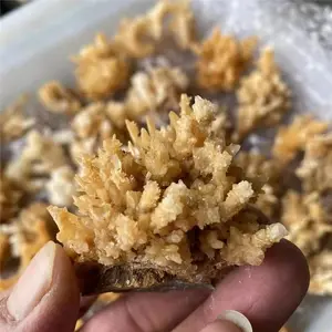 Vendita grezza naturale stalattite pietre di cristallo cluster di calcite campioni di minerali per la guarigione