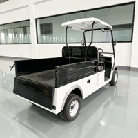 Voiturette de golf électrique 2 places avec coffre de chargement, batterie sans entretien 60V 100AH, pneus tout-terrain pour parcours de golf