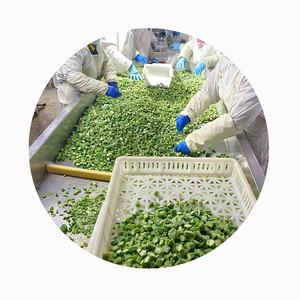 במיה קפואה שלמה מסין, 10 ק\"ג, קצוצה, 5-9 ס\"מ, דרגה 2, חיי מדף שנתיים, מאושרת HACCP, בריאה, טבעית, מזינה, סיטונאי IQF - Product Image 1