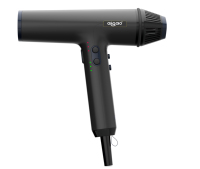 Sèche-cheveux professionnel ionique 2000W avec moteur DC 110000 tr/min et diffuseur pour fabricants