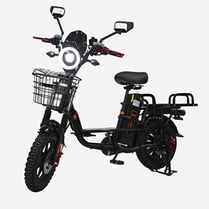 DISIYUAN MINAKO Vélo <span class=keywords><strong>cargo</strong></span> électrique hybride Monster 16 pouces <span class=keywords><strong>sans</strong></span> batterie avec pneus hiver pour livraison et coursier - Product Image 4