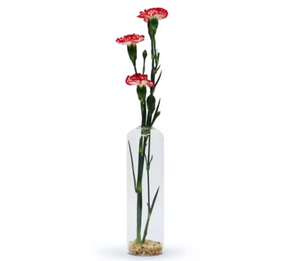 <span class=keywords><strong>Vase</strong></span> en <span class=keywords><strong>verre</strong></span> borosilicate transparent <span class=keywords><strong>soufflé</strong></span> à la main OEM/ODM pour plante à fleurs Terrarium décoratif en <span class=keywords><strong>verre</strong></span> pour la maison, le bureau et les hôtels - Product Image 2