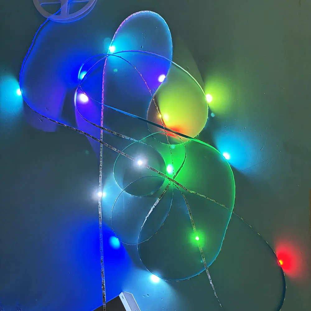 Ensemble de lumières serpent intelligentes en gros bande lumineuse LED étanche pour le salon
