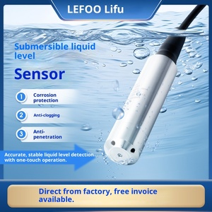 เกจวัดระดับน้ำแบบจุ่มใต้น้ำ LEFOO 4-20mA เซ็นเซอร์วัดระดับน้ำแบบคงที่ Rs485 304/316 - Product Image 2