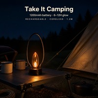 Lampe de table LED rechargeable sans fil en acrylique, flamme vacillante ovale, style minimaliste nordique, pour restaurant, ambiance, camping