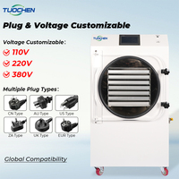 Commerciële voedselverwerkingsmachine voor fruit en groenten, 30kg automatische pomp PLC vacuümvriesdroogmachine te koop