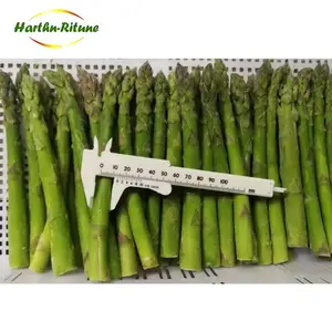 Wholesale Good Quality Frozen Green Asparagus Fresh Vegetables