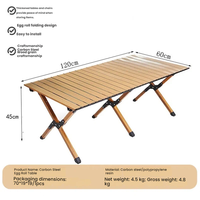 Tables pliantes d'extérieur en acier au carbone, design moderne et épuré, portables pour le camping, les pique-niques et la vente ambulante