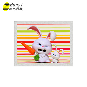 工业自动化手持设备用宽高比4:<span class=keywords><strong>3</strong></span>液晶模块8英寸800x600 QVGA RGB接口IPS显示器 - Product Image 2