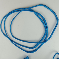 Corde en boucle continue en UHMWPE, durable, haute résistance, résistante à l'usure, souple, écologique, 3 mm, 22 cm de longueur pour hamac