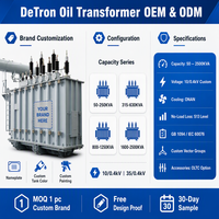 Transformador de Potencia Trifásico Sumergido en Aceite para Parques Solares y Eólicos S13 500KVA 1000KVA 2000KVA 2500KVA 10/0.4kV 50/60Hz
