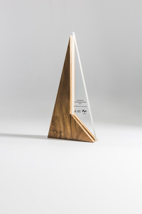 Vibrantes Trofeos, Medallas y Placas de Madera con Cristal Personalizados, Tecnología de Impresión UV Avanzada, para Logros Distinguidos - Product Image 1