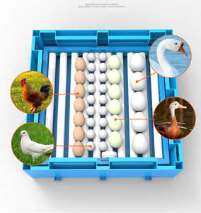 Incubateur d'œufs automatique à alimentation unique 12V 220V pour œufs de dinde, d'émeu, d'oie et d'oiseaux, avec un taux d'éclosion élevé - Product Image 4