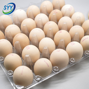 Barquettes <span class=keywords><strong>à</strong></span> œufs rectangulaires transparentes en CPET réutilisables pour œufs frais et œufs de caille, usage agricole et en supermarché - Product Image 5