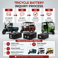 Yauneidak Maßgefertigte 48V 60V 72V 64V 50Ah 150Ah 180Ah 200Ah LiFePO4 Batterie für Elektro-Dreirad E-Rikscha Tuk Tuk SKD Großhandel