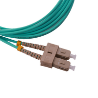 Câble de raccordement à fibre optique multimode duplex OM3 SC-UPC SC-UPC 3,0 mm personnalisé pour utilisation FTTH
