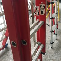 Échelle extensible 2x8 2x10 marches 6M 8M 10M 12 mètres en aluminium et fibre de verre Échelles domestiques avec polymère renforcé de fibres