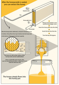 Nhà máy tùy chỉnh tự động bằng gỗ <span class=keywords><strong>BEE</strong></span> Hive hộp tổ ong trang trại linh sam trồng tổ ong dòng chảy Hive mật ong - Product Image 3