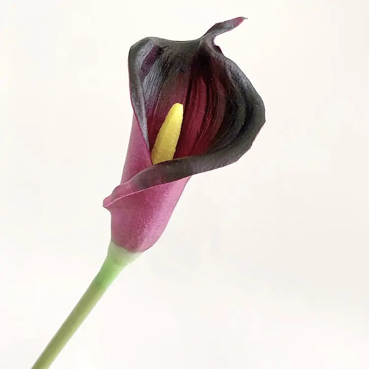 مصنع التنين الأسود بالجملة الزخرفية لمس حقيقي الاصطناعي كاللا زهرة الليلي حجم كبير 60 سنتيمتر زهور كاللا