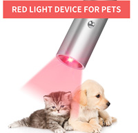 Nouveau stylo de luminothérapie rouge ciblée avec soulagement de la douleur et 4 LED pour usage domestique et commercial