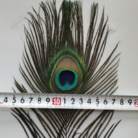 Großhandel Große Augen 25-30cm Pfauenfedern für Fliegenbinden, Basteln, Heim-Party, Bühne, Karneval, Kostüm-Dekorationen