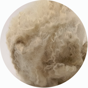Fibra de poliéster 2D 51mm Virgin Bico <span class=keywords><strong>Color</strong></span> Low Melt - Product Image 1