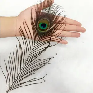 Wholesale Blenched 25-30cm White Peacock Feathers