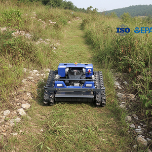 Cortadora de Césped a Gasolina con Control Remoto, Marca China, Gran Éxito de Ventas - Product Image 1